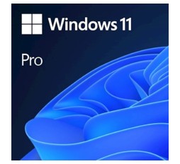Slika izdelka: DSP Windows 11 Professional 64bit, slovenski