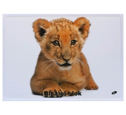 Slika izdelka: Elisa risalni blok Baby levček, A3, 20 listni