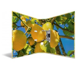 Slika izdelka: Herma registrator Cocktail, A4, 70 mm, limone